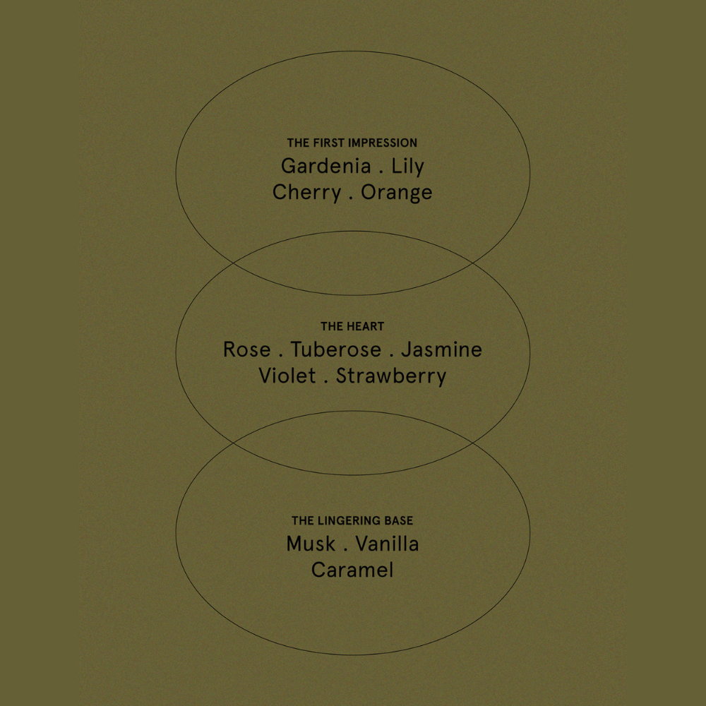 The Aromatherapy Co. Limited Edition Christmas Hand Cream Trio Set 3x50mL