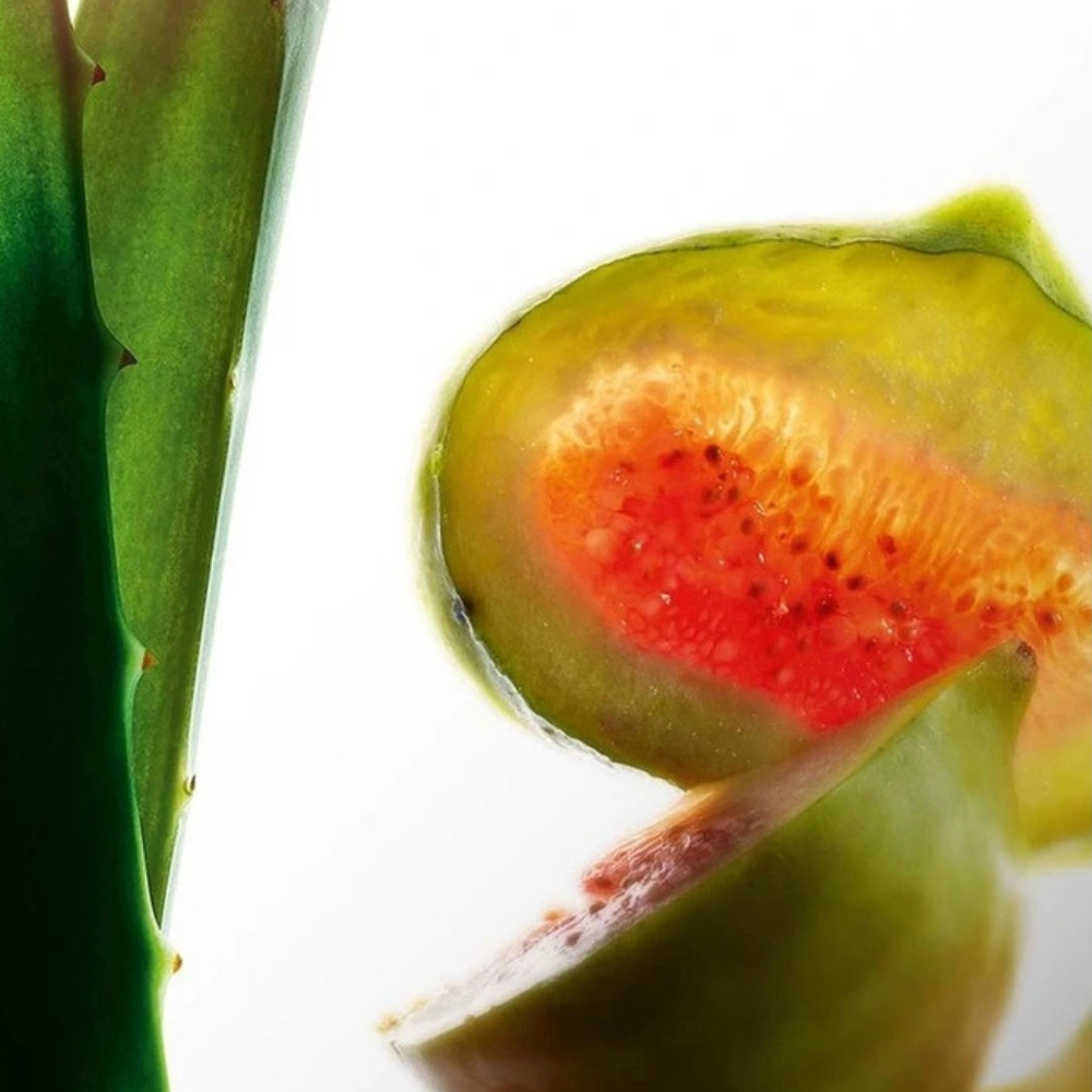 Clarins Hydrating Toning Lotion 200mL