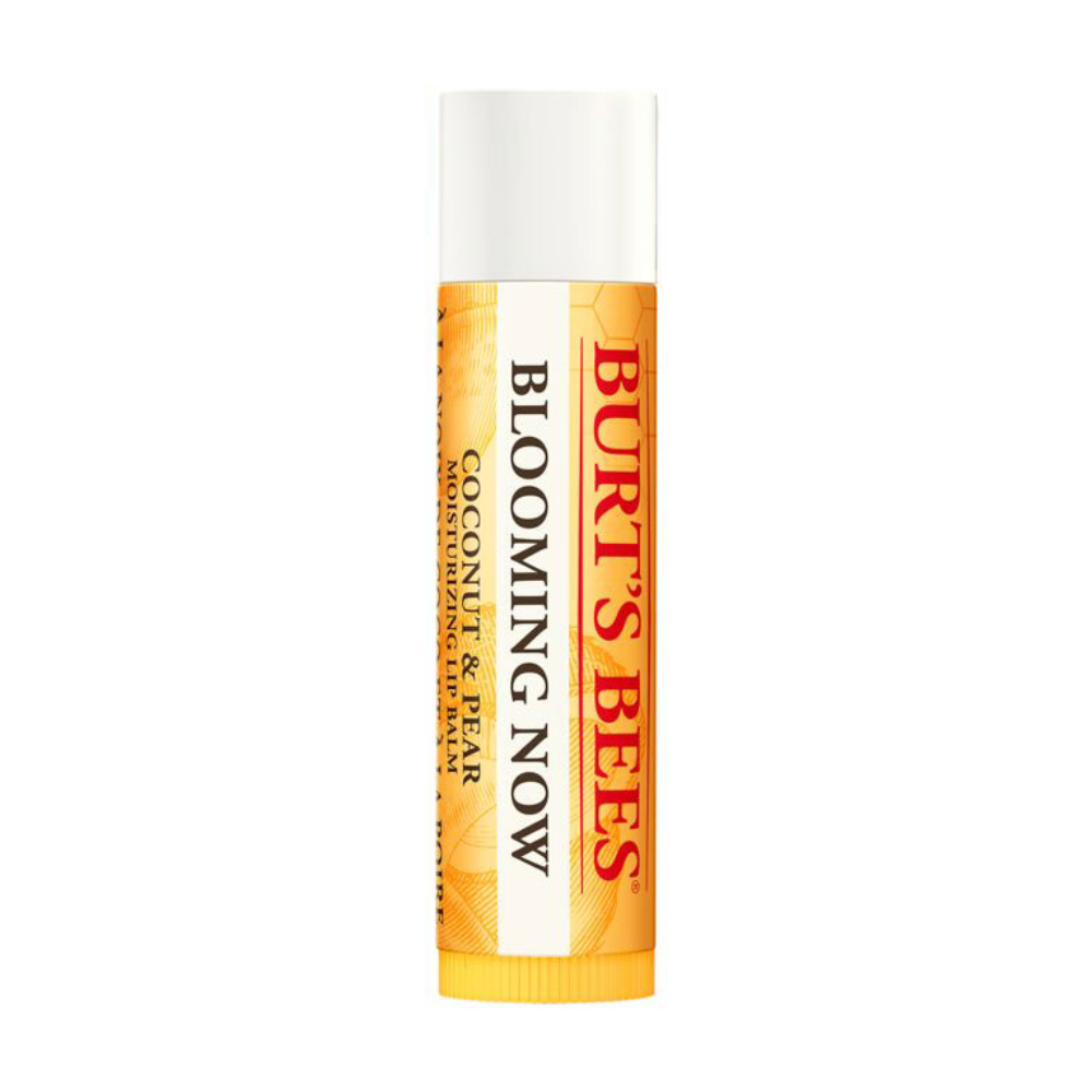 Burt's Bees Spring It On Essentials Lip Balm 5 Piece Set