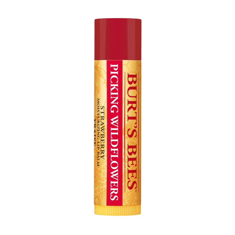 Burt's Bees The Main Squeeze Lip Balm Set 6x4.25g